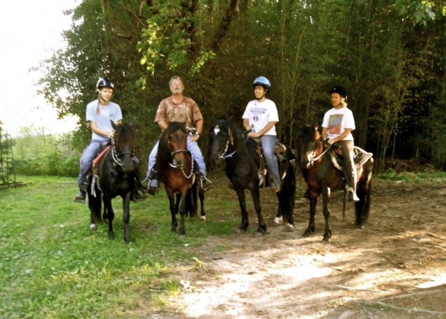 Mill Swamp Indian Horses Corolla Horses and Shackleford Banks Stallion
